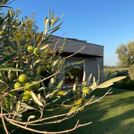 Gioia In Collina Bed & Breakfast Torrevecchia Teatina Eksteriør bilde