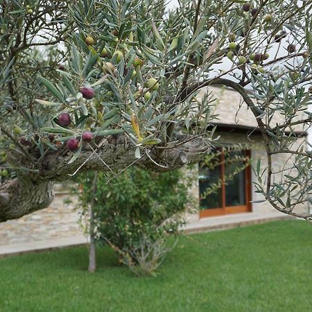 Gioia In Collina Bed & Breakfast Torrevecchia Teatina Eksteriør bilde