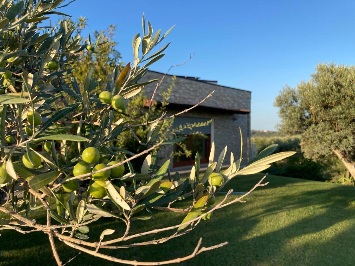 Gioia In Collina Bed & Breakfast Torrevecchia Teatina Eksteriør bilde