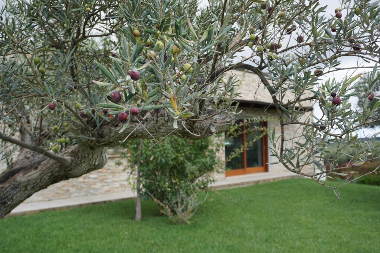Gioia In Collina Bed & Breakfast Torrevecchia Teatina Eksteriør bilde