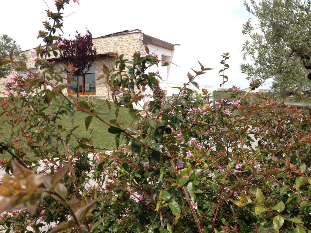 Gioia In Collina Bed & Breakfast Torrevecchia Teatina Eksteriør bilde